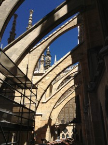 flying with the buttresses 