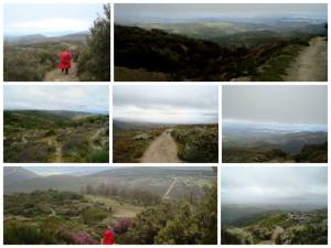 1044126_10151701318826355_1925362103_n