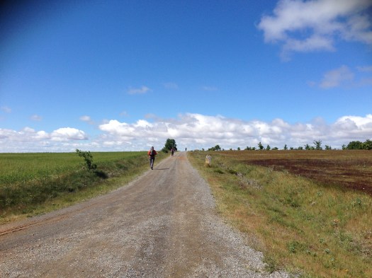 Finally on the open trail