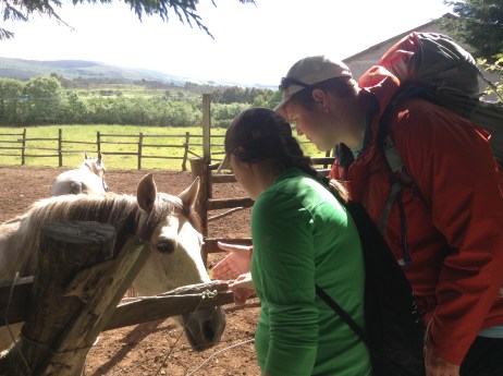 Maddy and Bryan found a horse on the trail today