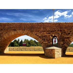 11267754_10203035936459872_2515672928828277413_n